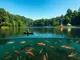 a-fisherman-s-guide-to-fish-species-in-kentucky-lake