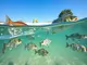a-guide-to-the-most-common-fish-species-in-galveston-waters