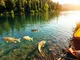 discover-the-diverse-fish-species-in-lake-tahoe