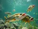 the-carnivores-of-freshwater-fish-known-for-eating-meat