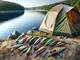 the-science-behind-successful-lure-selection
