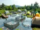 top-10-sustainable-fish-farming-methods-you-should-know