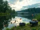 top-fish-species-found-in-ohio-s-lakes-and-rivers